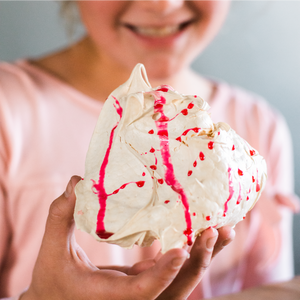 Large assorted meringues